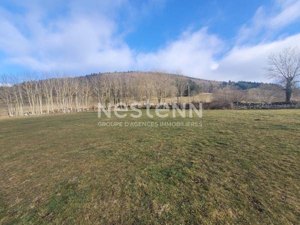 EXCLUSIVITE SAINT JULIEN DU PINET ! Belle parcelle de 3000 m2 constructible avec vue dégagée et certificat d'urbanisme opérationnel