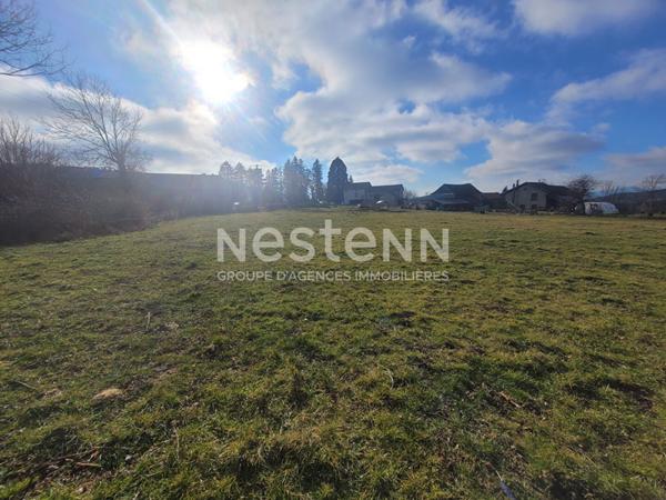 EXCLUSIVITE SAINT JULIEN DU PINET ! Belle parcelle de 3000 m2 constructible avec vue dégagée et certificat d'urbanisme opérationnel