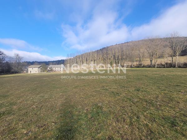 EXCLUSIVITE SAINT JULIEN DU PINET ! Belle parcelle de 3000 m2 constructible avec vue dégagée et certificat d'urbanisme opérationnel