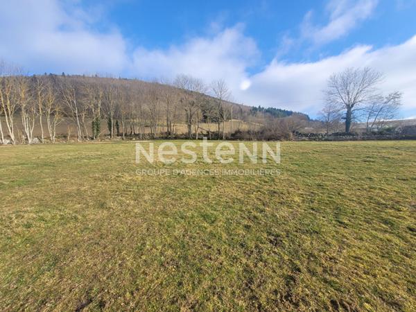 EXCLUSIVITE SAINT JULIEN DU PINET ! Belle parcelle de 3000 m2 constructible avec vue dégagée et certificat d'urbanisme opérationnel