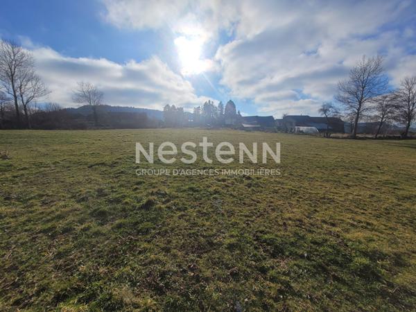 EXCLUSIVITE SAINT JULIEN DU PINET ! Belle parcelle de 3000 m2 constructible avec vue dégagée et certificat d'urbanisme opérationnel