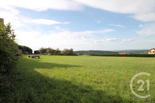 Terrain à vendre  1392 m2 ST QUINTIN SUR SIOULE - 63