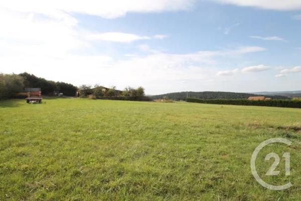 Terrain à vendre  1392 m2 ST QUINTIN SUR SIOULE - 63