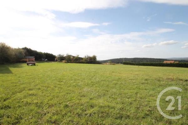 Terrain à vendre  1392 m2 ST QUINTIN SUR SIOULE - 63