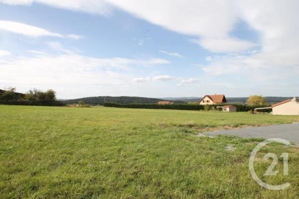 Terrain à vendre  1392 m2 ST QUINTIN SUR SIOULE - 63