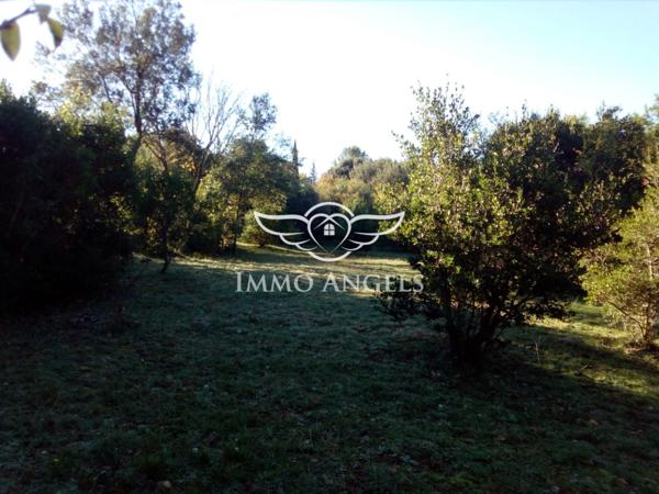 Viol-en-Laval (34380) – Terrain constructible 2 257 m² avec permis accordé