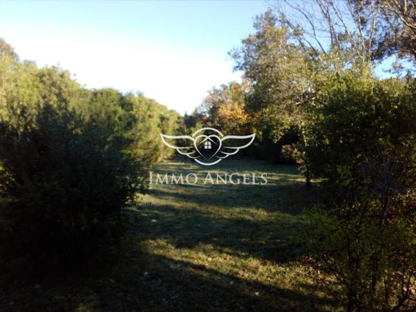 Viol-en-Laval (34380) – Terrain constructible 2 257 m² avec permis accordé