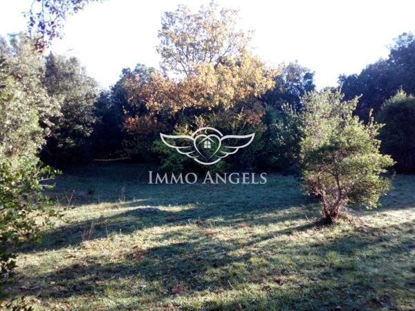 Viol-en-Laval (34380) – Terrain constructible 2 257 m² avec permis accordé