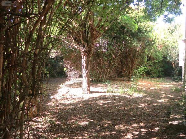 Achat - Maison | Pavillon Naintré 86530 6 pièces 122 m 2 419 m 2