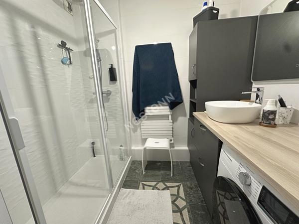 Appartement Villeurbanne 69100 Limite Lyon 6, Bellecombe, GARAGE COMPRIS, 3 pièces, 76 m2, balcon