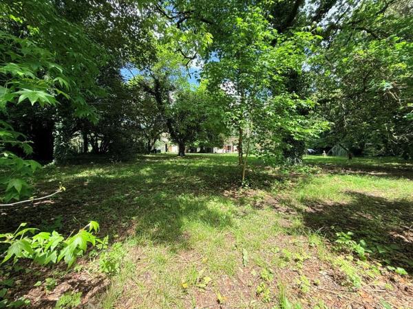 ST CHRISTOLY MAISON 3 CHAMBRES SUR 7400M² DE TERRAIN Saint-Christoly-de-Blaye (33920)