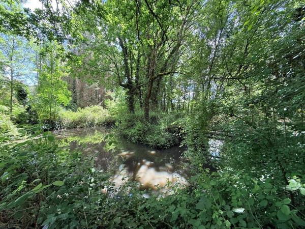 ST CHRISTOLY MAISON 3 CHAMBRES SUR 7400M² DE TERRAIN Saint-Christoly-de-Blaye (33920)