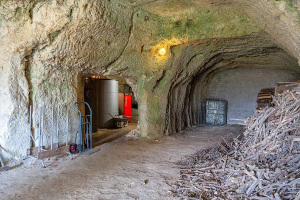 Vente Maison de maître Rochecorbon 13 Pièces 530 m²