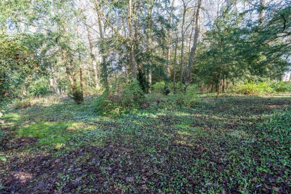 Vente Maison de maître Rochecorbon 13 Pièces 530 m²