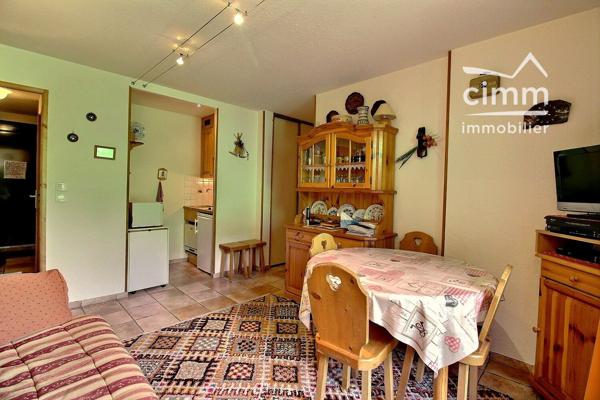 A VENDRE CHAMONIX (74400) APPARTEMENT REZ-DE-JARDIN T2Bis.