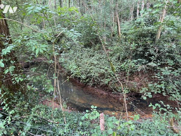 Maison en pierres avec 1 hectare proche de Figeac
