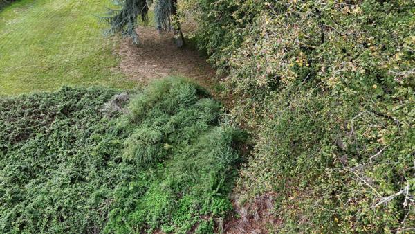 Charmante maison en pierre