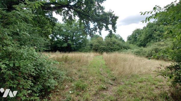 MAISON ANCIENNE AVEC DEPENDANCE