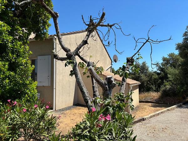 Maison Bretignolles Sur Mer