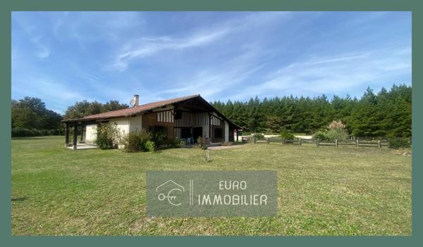 Propriété 2 habitations - Maison - Landaise - Piscine - Ecuries - 3ha (hectares) - Landes (40) - Aquitaine