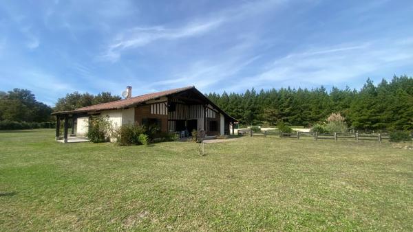 Propriété 2 habitations - Maison - Landaise - Piscine - Ecuries - 3ha (hectares) - Landes (40) - Aquitaine