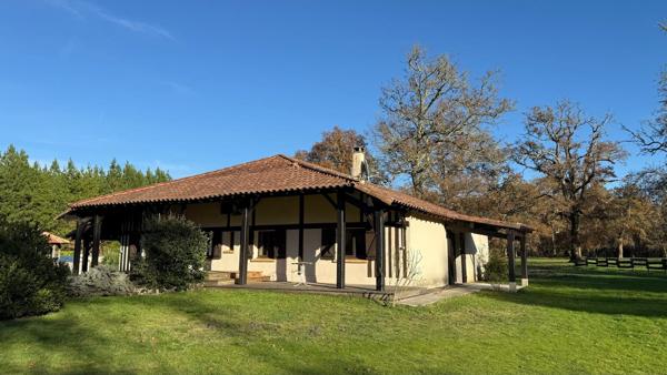 Propriété 2 habitations - Maison - Landaise - Piscine - Ecuries - 3ha (hectares) - Landes (40) - Aquitaine