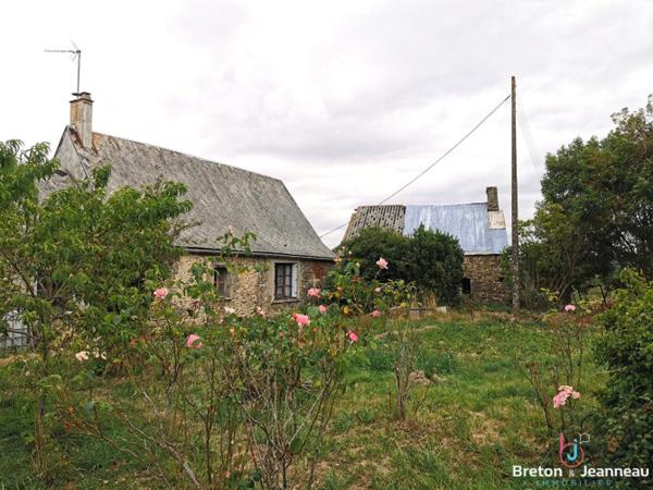 Fermette à rénover sur près de 10 ha à Vimartin sur Orthe
