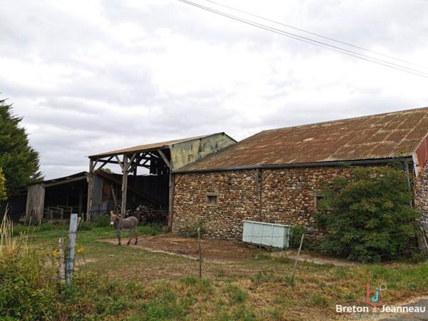 Fermette à rénover sur près de 10 ha à Vimartin sur Orthe