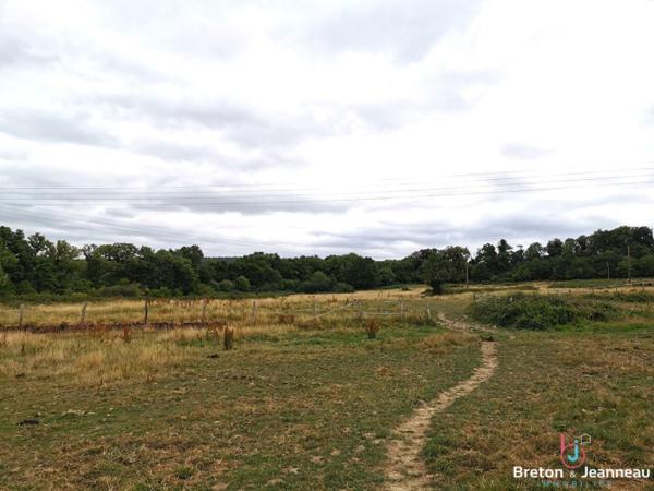 Fermette à rénover sur près de 10 ha à Vimartin sur Orthe