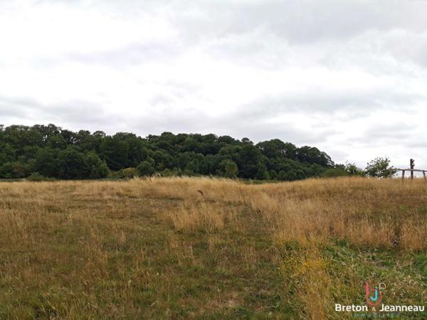 Fermette à rénover sur près de 10 ha à Vimartin sur Orthe