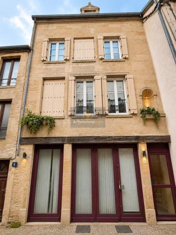 Vente                                                      Immeuble
                        
                                         321 m2                     à Langres
