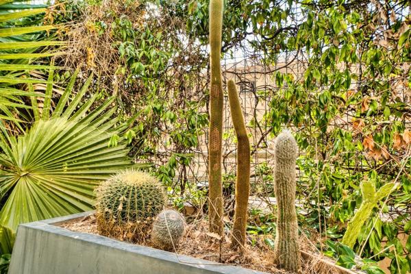 NICE BRANCOLAR - T2 REZ-DE-JARDIN - JARDIN PRIVATIF 55M²