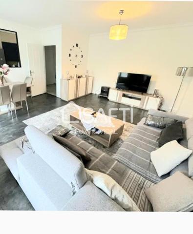 MAGNIFIQUE APPARTEMENT LUMINEUX ET SPACIEUX