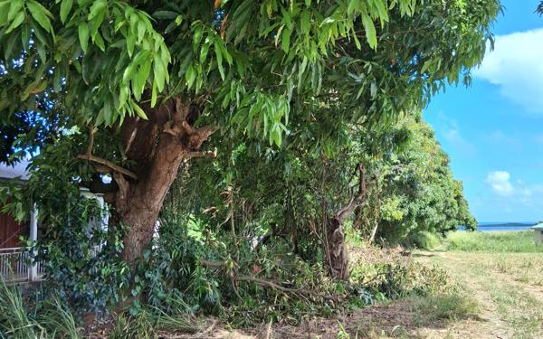 Terrain à vendre    Sainte-Rose