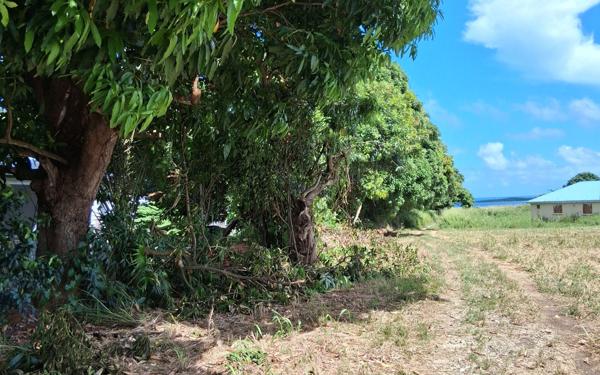 Terrain à vendre    Sainte-Rose