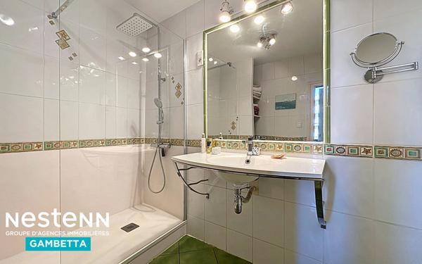 Maison à vendre Montauban (82) , centre ville , jardin