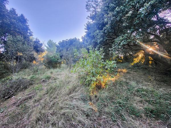 Châteaurenard (13160) Terrain constructible de 910 m2