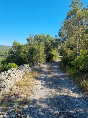 Terrain à vendre avec bâti en pierre SAUVE (30)