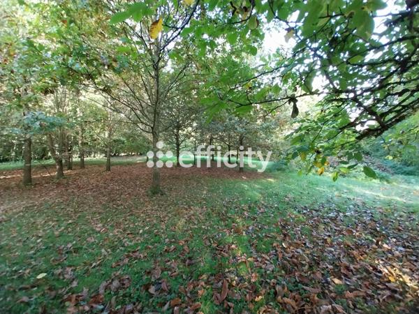 Maison 7 pièces - 200 m² Exclusivité efficity