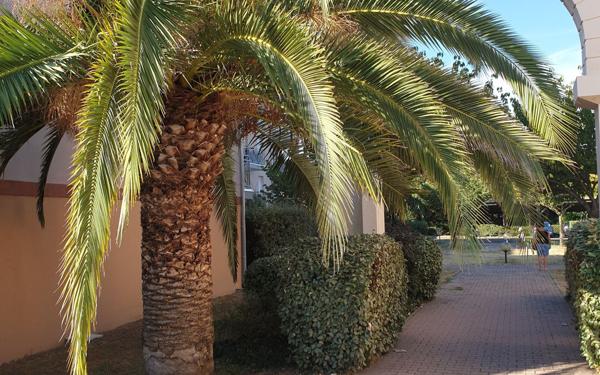 Appartement à vendre    2 pièces • 47 m2 Toulouse