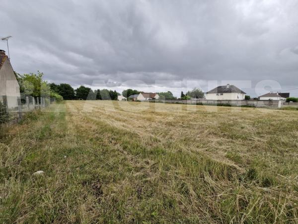 Terrain à bâtir de 2506 m² - 100 % viabilisé - CEPOY