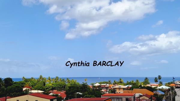 Maison à LE CARBET (97221)