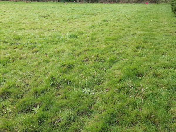 Terrain à DAMGAN, 56750 - 580m²