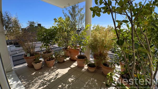 Beau T3 de qualité - 76 m² + cave