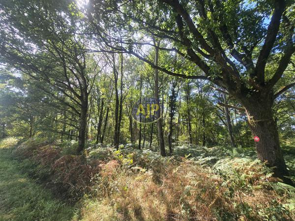 Vente terrain Derval : 65 780 € - AJP By Marie