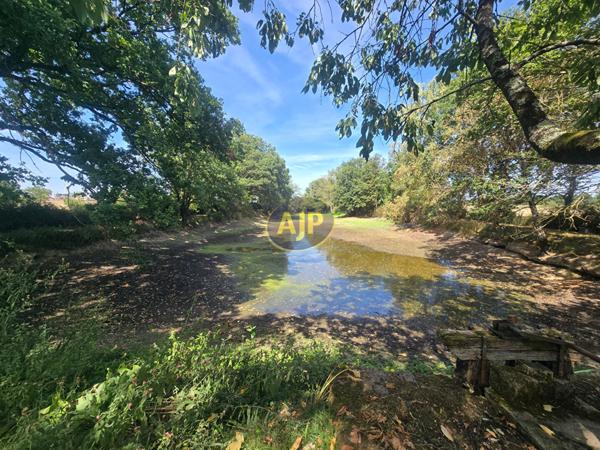 Vente terrain Derval : 65 780 € - AJP By Marie