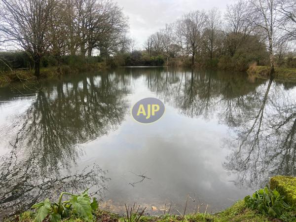 Vente terrain Derval : 65 780 € - AJP By Marie