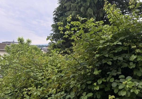 Vente Maison 8 pièces 147 m2 à Aix-les-Bains