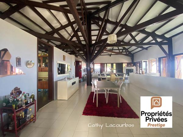 Villa d'architecte extraordinaire - Petit Bourg 8 pièce(s) 250 m2