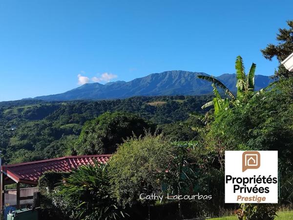 Villa d'architecte extraordinaire - Petit Bourg 8 pièce(s) 250 m2